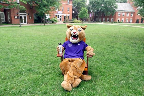 Photo of 查塔姆 University mascot Carson the Cougar sitting on a chair on 足球波胆平台